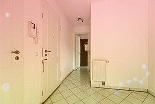 《英雄不再》系列开发商草蜢工作室确认被网易收购，将在10年内推出3款新游