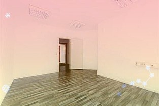 上半年全国新办涉税市场主体日均超3.4万户创近年新高