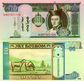 ProVeg亚太区11997;品创新12068;赛启动参赛学12131;